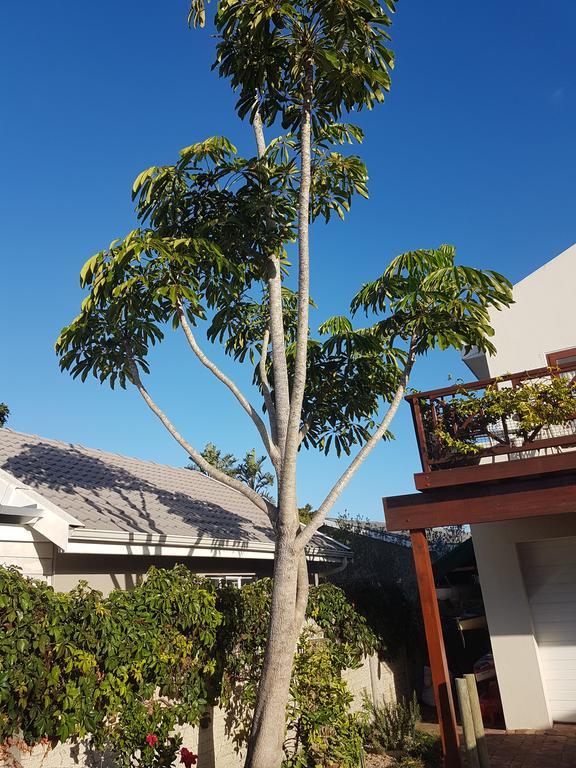 Founders Keepers - Leisure Isle Apartment Knysna Bagian luar foto